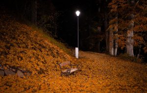 park Bytów